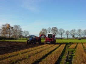 Bloembollen rooien